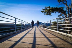<a href="https://landscapearchitecturebuilt.com/presidio-coastal-trail">Presidio Coastal Trail</a>, <br>San Francisco, CA, USA