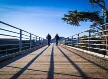 <a href="https://landscapearchitecturebuilt.com/presidio-coastal-trail">Presidio Coastal Trail</a>, <br>San Francisco, CA, USA