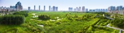 <a href="https://landscapearchitecturebuilt.com/qunli-stormwater-park">Qunli Stormwater Park</a>, <br>Harbin, Heilongjiang Province, China