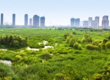 <a href="https://landscapearchitecturebuilt.com/qunli-stormwater-park">Qunli Stormwater Park</a>, <br>Harbin, Heilongjiang Province, China