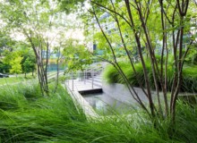 <a href="https://landscapearchitecturebuilt.com/simons-center-for-geometry-and-physics">Simons Center for Geometry and Physics</a>, <br>University of New York, Stony Brook, NY, USA