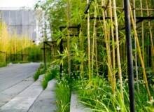 <a href="https://landscapearchitecturebuilt.com/vanke-research-center">Vanke Research Center</a>, <br>Dongguan, China