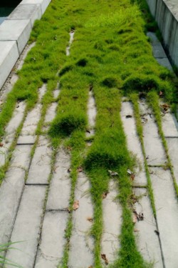 <a href="https://landscapearchitecturebuilt.com/vanke-research-center">Vanke Research Center</a>, <br>Dongguan, China