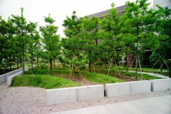 <a href="https://landscapearchitecturebuilt.com/vanke-research-center">Vanke Research Center</a>, <br>Dongguan, China