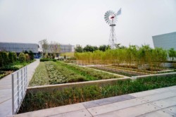 <a href="https://landscapearchitecturebuilt.com/vanke-research-center">Vanke Research Center</a>, <br>Dongguan, China