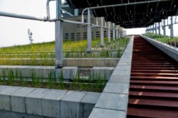 <a href="https://landscapearchitecturebuilt.com/vanke-research-center">Vanke Research Center</a>, <br>Dongguan, China