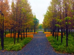 <a href="https://landscapearchitecturebuilt.com/yanweizhou-park">Yanweizhou Park </a>, <br>Jinhua, Zhejiang Province, China