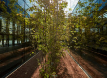 <a href="https://landscapearchitecturebuilt.com/merkez-ankara-showroom">Merkez Ankara Showroom</a>, <br>Ankara, Turkey