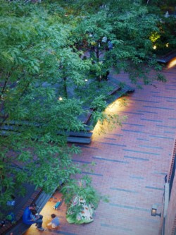 <a href="https://landscapearchitecturebuilt.com/archipelago-courtyard">Archipelago Courtyard</a>, <br>Boerum Hill, Brooklyn, NY, USA