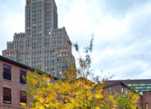 <a href="https://landscapearchitecturebuilt.com/archipelago-courtyard">Archipelago Courtyard</a>, <br>Boerum Hill, Brooklyn, NY, USA