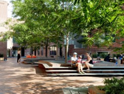 <a href="https://landscapearchitecturebuilt.com/archipelago-courtyard">Archipelago Courtyard</a>, <br>Boerum Hill, Brooklyn, NY, USA