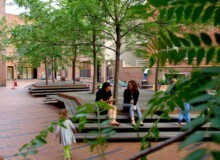 <a href="https://landscapearchitecturebuilt.com/archipelago-courtyard">Archipelago Courtyard</a>, <br>Boerum Hill, Brooklyn, NY, USA