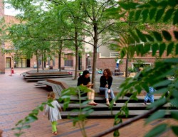 <a href="https://landscapearchitecturebuilt.com/archipelago-courtyard">Archipelago Courtyard</a>, <br>Boerum Hill, Brooklyn, NY, USA