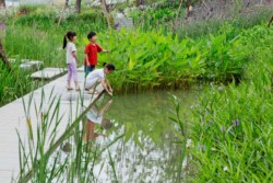 <a href="https://landscapearchitecturebuilt.com/cloud-paradise">Cloud Paradise</a>, <br>Chengdu, China