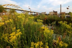 <a href="https://landscapearchitecturebuilt.com/erie-street-plaza">Erie Street Plaza</a>, <br>Milwaukee, WI, USA