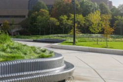 <a href="https://landscapearchitecturebuilt.com/gerstacker-grove">Eda U. Gerstacker Grove</a>, <br>University of Michigan, Ann Arbor, MI, USA