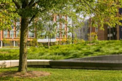 <a href="https://landscapearchitecturebuilt.com/gerstacker-grove">Eda U. Gerstacker Grove</a>, <br>University of Michigan, Ann Arbor, MI, USA