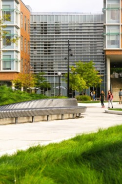 <a href="https://landscapearchitecturebuilt.com/gerstacker-grove">Eda U. Gerstacker Grove</a>, <br>University of Michigan, Ann Arbor, MI, USA