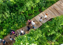 <a href="https://landscapearchitecturebuilt.com/industry-city-courtyard-5-6">Industry City Courtyard 5-6</a>, <br>Sunset Park, Brooklyn, NY, USA