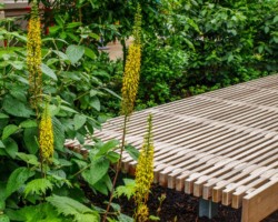 <a href="https://landscapearchitecturebuilt.com/industry-city-courtyard-5-6">Industry City Courtyard 5-6</a>, <br>Sunset Park, Brooklyn, NY, USA