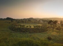 <a href="https://landscapearchitecturebuilt.com/maropeng-stone-garden">Maropeng Stone Garden</a>, <br>Cradle of Humankind, Gauteng, South Africa