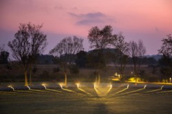 <a href="https://landscapearchitecturebuilt.com/maropeng-stone-garden">Maropeng Stone Garden</a>, <br>Cradle of Humankind, Gauteng, South Africa