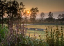 <a href="https://landscapearchitecturebuilt.com/maropeng-stone-garden">Maropeng Stone Garden</a>, <br>Cradle of Humankind, Gauteng, South Africa