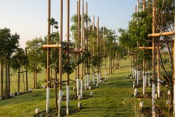 <a href="https://landscapearchitecturebuilt.com/maropeng-stone-garden">Maropeng Stone Garden</a>, <br>Cradle of Humankind, Gauteng, South Africa