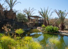 <a href="https://landscapearchitecturebuilt.com/marula-game-ranch">Marula Game Ranch</a>, <br>Dordabis, Khomas Region, Namibia