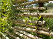 <a href="https://landscapearchitecturebuilt.com/marula-game-ranch">Marula Game Ranch</a>, <br>Dordabis, Khomas Region, Namibia