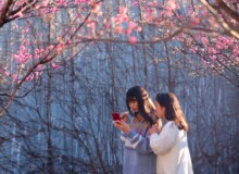 <a href="https://landscapearchitecturebuilt.com/the-mei-garden">The Mei Garden</a>, <br>Jinhua, Zhejiang Province, China