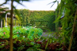 <a href="https://landscapearchitecturebuilt.com/the-mei-garden">The Mei Garden</a>, <br>Jinhua, Zhejiang Province, China