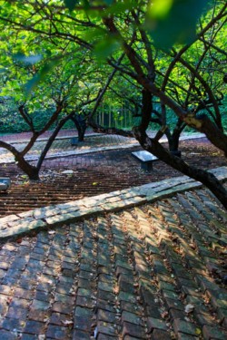 <a href="https://landscapearchitecturebuilt.com/the-mei-garden">The Mei Garden</a>, <br>Jinhua, Zhejiang Province, China