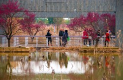 <a href="https://landscapearchitecturebuilt.com/the-mei-garden">The Mei Garden</a>, <br>Jinhua, Zhejiang Province, China