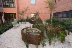 <a href="https://landscapearchitecturebuilt.com/nelson-mandela-childrens-hospital">Nelson Mandela Children’s Hospital</a>, <br>Johannesburg, South Africa