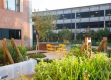 <a href="https://landscapearchitecturebuilt.com/nelson-mandela-childrens-hospital">Nelson Mandela Children’s Hospital</a>, <br>Johannesburg, South Africa