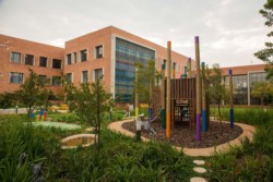<a href="https://landscapearchitecturebuilt.com/nelson-mandela-childrens-hospital">Nelson Mandela Children’s Hospital</a>, <br>Johannesburg, South Africa
