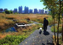 <a href="https://landscapearchitecturebuilt.com/qunli-stormwater-park">Qunli Stormwater Park</a>, <br>Harbin, Heilongjiang Province, China