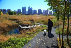 <a href="https://landscapearchitecturebuilt.com/qunli-stormwater-park">Qunli Stormwater Park</a>, <br>Harbin, Heilongjiang Province, China