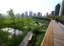 Qunli Stormwater Park - Landscape Architecture Built