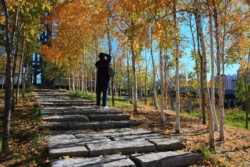 <a href="https://landscapearchitecturebuilt.com/qunli-stormwater-park">Qunli Stormwater Park</a>, <br>Harbin, Heilongjiang Province, China