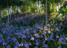 <a href="https://landscapearchitecturebuilt.com/qunli-stormwater-park">Qunli Stormwater Park</a>, <br>Harbin, Heilongjiang Province, China