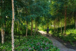 <a href="https://landscapearchitecturebuilt.com/qunli-stormwater-park">Qunli Stormwater Park</a>, <br>Harbin, Heilongjiang Province, China