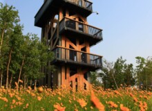 <a href="https://landscapearchitecturebuilt.com/qunli-stormwater-park">Qunli Stormwater Park</a>, <br>Harbin, Heilongjiang Province, China