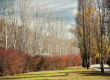 <a href="https://landscapearchitecturebuilt.com/central-park">Central Park</a>, <br>Barcelona, Spain