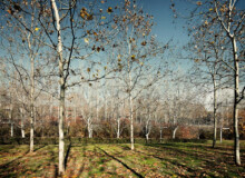 <a href="https://landscapearchitecturebuilt.com/central-park">Central Park</a>, <br>Barcelona, Spain