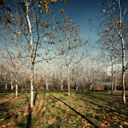<a href="https://landscapearchitecturebuilt.com/central-park">Central Park</a>, <br>Barcelona, Spain