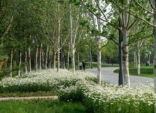 <a href="https://landscapearchitecturebuilt.com/central-green-forest-park">Central Green Forest Park </a>, <br>Beijing, China