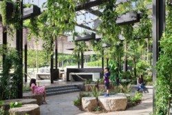 <a href="https://landscapearchitecturebuilt.com/riverside-green">Riverside Green</a>, <br>Brisbane, Australia