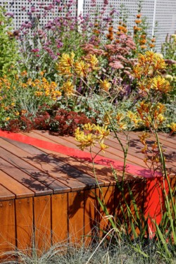 <a href="https://landscapearchitecturebuilt.com/burnley-living-roofs">Burnley Living Roofs</a>, <br>Melbourne, Australia